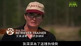 拉布拉多身为一只猎犬，极其的听话！实在太可爱了