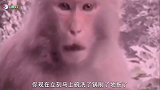 爆笑视频：男同胞们都看看，太真实太扎心了！