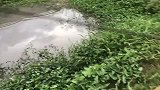 一群美女钓鱼超厉害，大鱼疯狂上钩，厉害了
