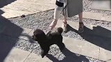 超模何穗的休闲假日，生活自在无忧无虑！