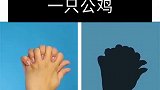生活技巧创意手影玩起来