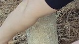要是每天能够像这样子挣钱，我一直都不会觉得累