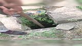 估计这一幕只有80后的才懂吧，看到接下来一幕真的是满满的回忆