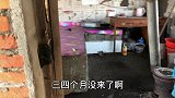 农民王小：爷们要继续奋斗！时隔几个月回鹅厂，满眼熟悉感慨万千