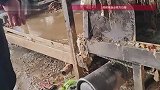 脏到你想吐！暗访消毒餐具工厂：餐具回收区内苍蝇四处乱飞，污水横流