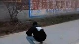 男子放烟火召唤自家的二哈