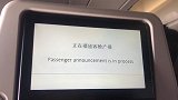 听到第2句就哭了！ 申花全队返沪 机长深情表白25年挚爱：已经看到了希望