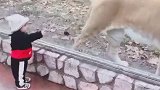 宝宝听我指挥去那边