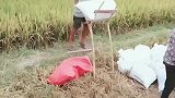 大叔现场搬运设备，操作起来省心又省力！