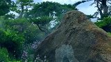 能够拥有一份美丽的心情，不是因为获得的颇多，而是计较的很少。