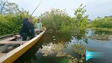 侣行：侣行夫妇亚马逊河钓食人鱼，怕咬掉鱼线，直接用铁丝拴鱼饵