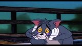 猫和老鼠：汤姆喜欢上白猫，白猫却是一脸不屑，汤姆这爱情真是卑