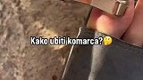 男子将电线夹在手上，让蚊子有来无回
