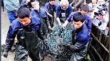 全世界斑鳖个体仅剩3只，其中一只在苏州动物园为雄性、其余两只在越南！2021爱怎么过怎么过 中建信和地产