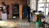 农民王小：两口子要分手老爸开会讨论啥，欢笑后回忆苦难日子