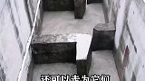 三峡大坝高近200米，下游的鱼，是怎么游回去的？