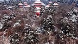 雪后打卡东陵公园，探寻历史的痕迹与冬季的美景，领略其独特的魅力