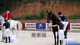 奔跑吧：沙溢出场自带bgm，骑上矮种马跳舞，全场笑喷