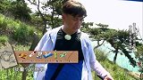 不愧是青岛贵妃啊，黄渤下海潜水收获颇丰，黄磊看到很开心