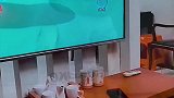萌宠推荐官