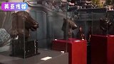 四太梁安琪与何超琼罕见合影，谁注意两人的站位家庭地位一目了然