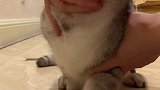团子摩托音之歌～