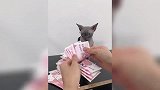 舔错了，再来