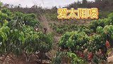 这里的山路十八弯，没有这十八弯，就没有美如水的山妹子