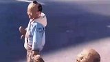 拥有完整的童年，是每个人类幼崽的愿望
