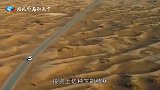 中国在塔克拉玛干沙漠投入巨额资金种下胡杨林，如今成这般模样