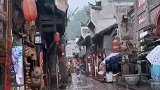 雨纷纷旧故里草木深，我听闻你始终一个人。