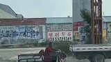 原来养羊是这么搬家的!