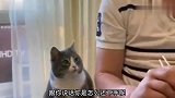 有恐高症的猫你们谁见过？反正我还是头一回见