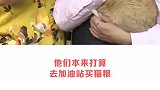 这才是真正的招财猫啊！为什么我只有傻猫？