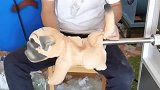 毛绒玩具是用这制作而成的