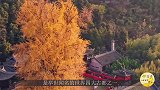 背上网红之名的西安很委屈，旅游火爆有三点原因，很多游客看不透