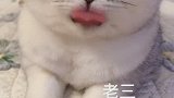 别看一个简单我拍了好久，祝老师们节日快乐