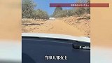 瑟瑟发抖！高速堵车女子按导航走山间小道，“都看不出有路，手机都没信号”