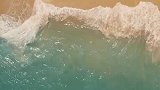 如果所有的海水都变成淡水会发生什么