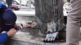 名人雕像也要拼颜值，长得“丑”也许会将其移走。