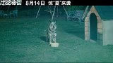 《逃出绝命街》官宣定档8.14