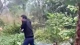 越发绿价格越贵？这样的狮子青苔越多越好，你知道为什么吗？