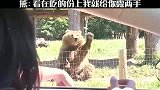 熊看在吃的份上，我就给你露两手