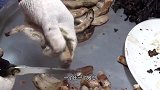 日本人VS韩国人吃鳗鱼，没有最残忍，只有更残忍！