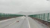 在高速刹不住，司机吓得不断大喊