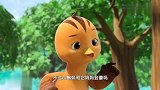 萌鸡小队：萌鸡太暖了，看蝌蚪很孤单，居然要帮他找妈妈！