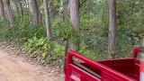 小姨子能给这两个兄弟介绍吗……