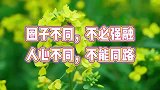 情感语录：圈子不同，不必强融，人心不同，不能同路