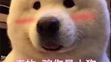 削水果皮，皮都不会断？
