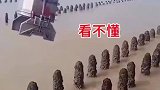 谁知道这是干什么的，有点看不懂了